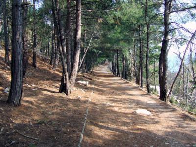 Прикрепленное изображение: DSCF6562.jpg